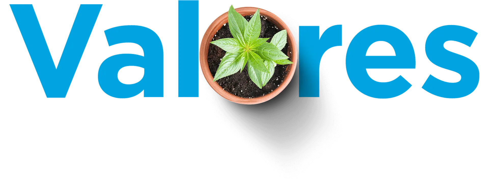 Caminhão da Fusão Engenharia